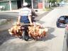 Chicken Transportation