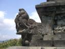 borobudur-20-aug-2007-creature-9.JPG