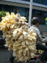 motorcycle-load-white-crepes-sept-2007.JPG