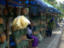 pineapples-bangdung-sept-2007.JPG