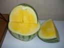 yellow-watermelon-mid-yellow.JPG