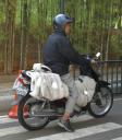motocycle-load-milk-man-oct-2007.jpg