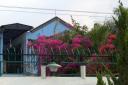 purple-bougainvillea-and-blue-house-solo-oct-2007-cropped.jpg