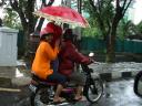 motorcycle-load-pink-umbrella-feb-2008.JPG