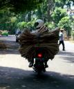 motorcyle-load-empty-cement-bags-jan-25-08-3.JPG