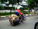 motorcycle-load-goat-skins-mar-2008.JPG