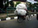 bicycle-load-bulky-bags-may-2008.JPG