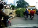 loads-grass-cart-in-traffic-may-09-2008.JPG