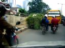 loads-grass-cart-in-traffic-may-09-2008.JPG