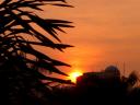 sunset-may-05-2008-1.JPG