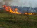 06-august-2009-burning-cane-field.JPG