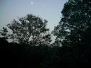 11-aug-2009-the-moon-from-little-haven-2.JPG