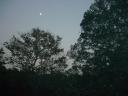11-aug-2009-the-moon-from-little-haven-3.JPG