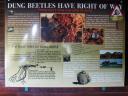 dung-beetle-info-sign.JPG