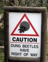 dung-beetle-sign.JPG