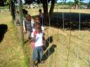 26-august-2009-creche-kids-fence.JPG