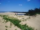 22-october-2009-mickelsens-and-mary-on-dunes-pd-beach.JPG