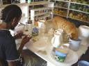 05-march-2010-pottery-shop-man-with-orange-cat.JPG