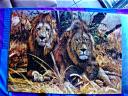22-may-2010-2-lion-puzzle-2.JPG