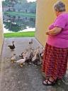 2012-aug-mary-feeding-ducks.jpg