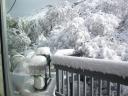 10-nov-2012-snow-in-yard-mountains.jpg
