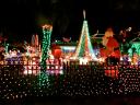 2012-couples-christmas-lights-1.jpg