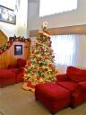 dec-2012-mission-home-tree.jpg