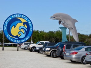 01 4april13 - Dolphin - Main Sign