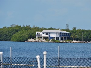 13 4april13 -  Dolphin - House on bay