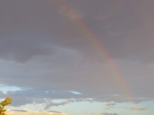 8nov14 - rainbow 2