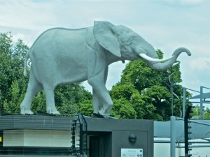 Mar15 - ZC - elephant statue