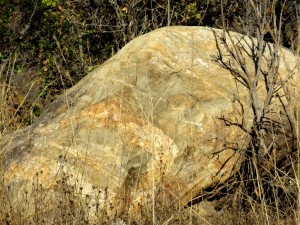 June2015 - Kruger - colorful large rock